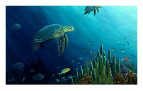 ACEO 2.5 x 3.5 - Sea Turtles oil on art board